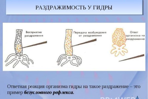 Кракен нет