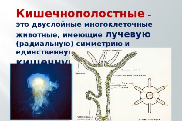 Нарко магазин кракен