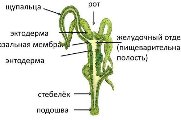 Супернет вход