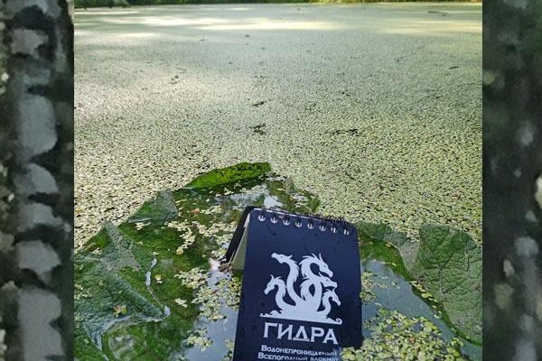 Кракен супернет зайти