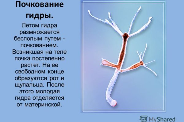 Ссылки для tor