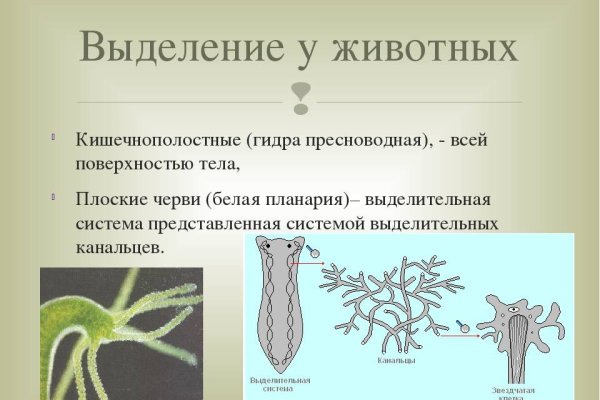 Как восстановить аккаунт на кракене