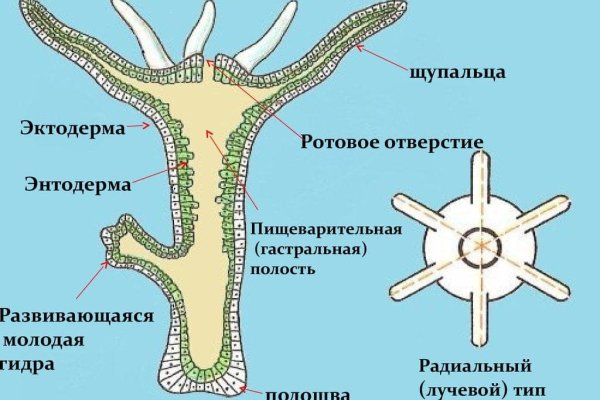 Как пополнить кошелек на кракене супернет