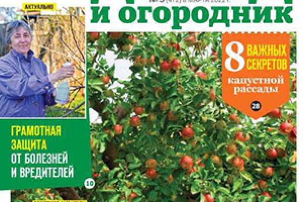 Найти зеркало кракена