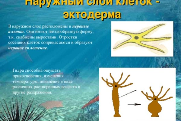 Что продают в кракен маркете