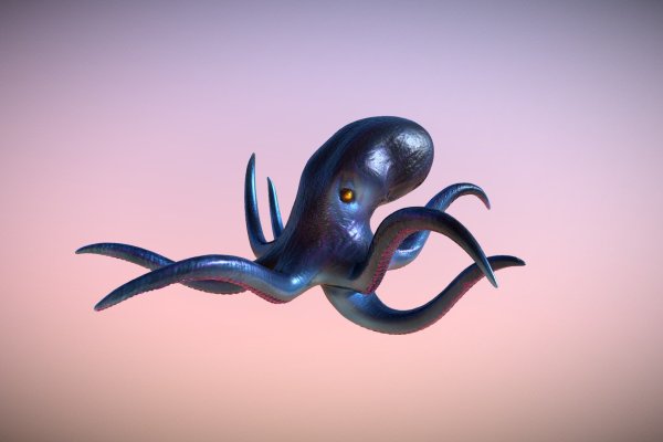 Kraken whitenet ссылка тор