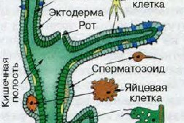 Кракен тор store