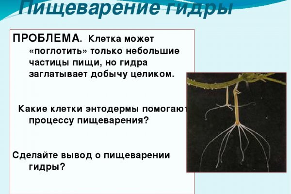 Ссылки на кракен маркетплейс