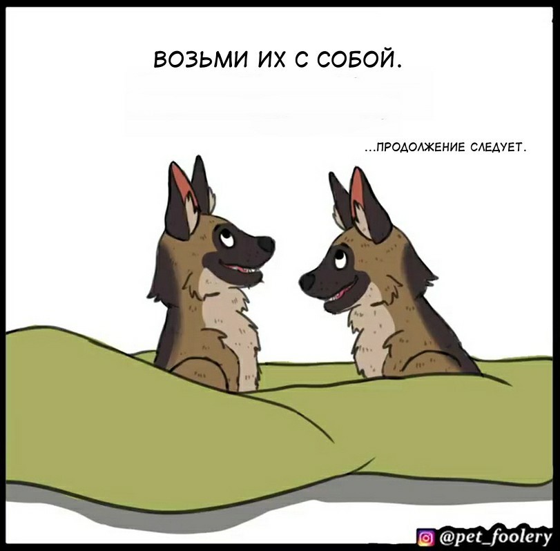 Как вернуть аккаунт на кракене